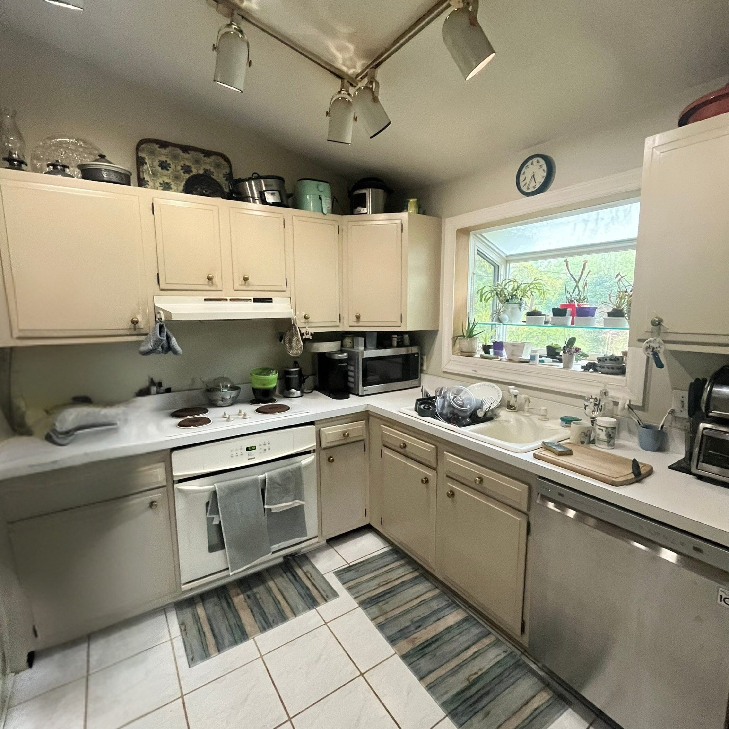 Cozy U-shaped kitchen with window plants